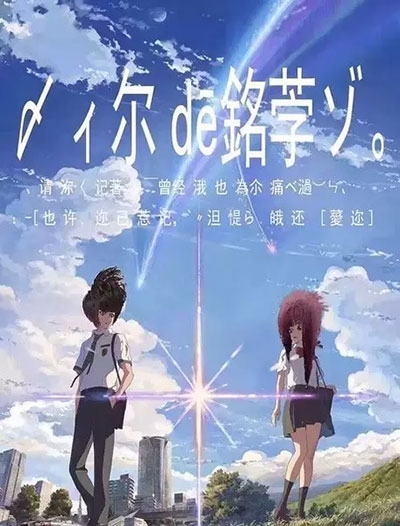 怎么做假乍得护照